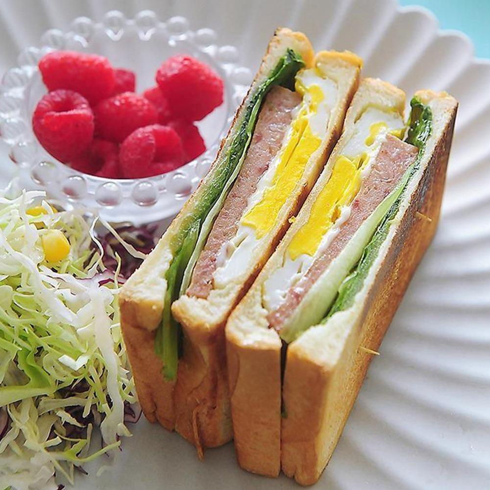 Non-Stick Panini Maker Flat Bottom Frying Pan Stovetop Press Sandwich Maker  Camping/Outdoors