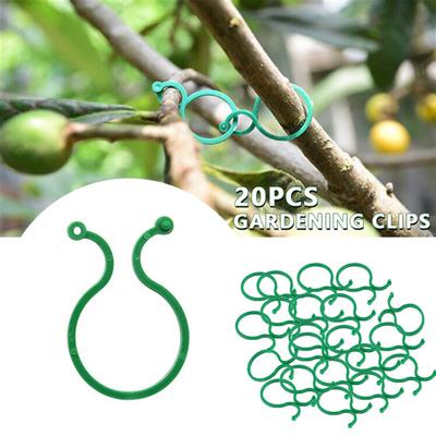 20 pz Botanica-Stelo Vite Reggette Clip Pianta da giardino In bundle Fibbia Anello Portautensili Fiori di pomodoro Supporto fisso