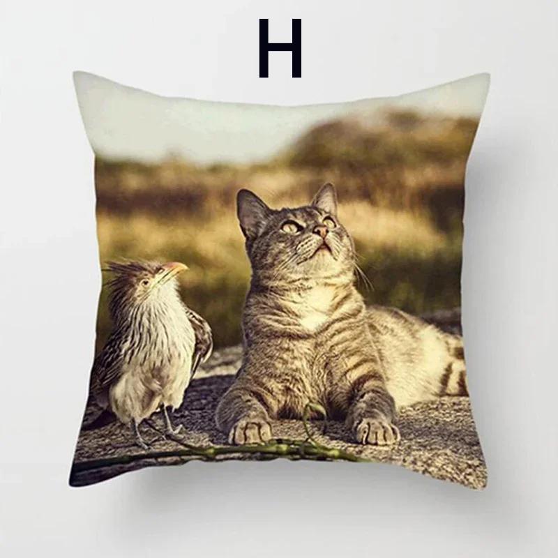 Cushion Cover Cute Cat Pattern Square Pillowcase Zipper Birthday Gift Sofa Home Hotel Decoration 45*45cm