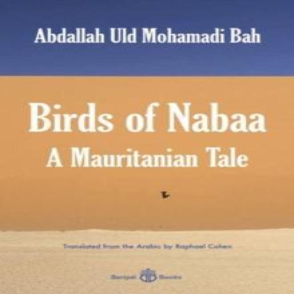 Birds of Nabaa by Abdallah Uld Mohamadi Bah Paperback Book 9781913043438