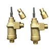 Water Softener Brass Brine Injector Valve