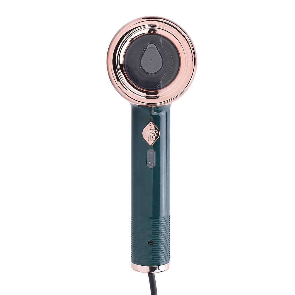 Reseångmaskin Våt Torr Dubbelanvändning Handhållen Bärbar Klädstrykningsmaskin för Hemmet US-kontakt