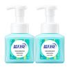 Blue Moon Fresh Fruit Mint Foam Antibacterial Hand Soap