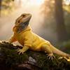 Pet Reptile Hoodie T-Shirt Lizard Walks Outdoor Costume Lightweight Apparel Universal Fit