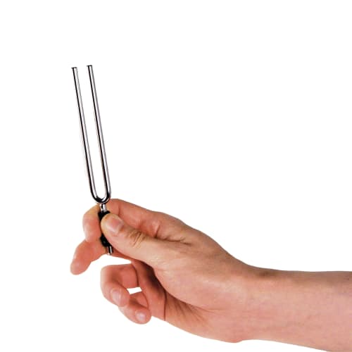 D'Addario Tuning Fork E=329.6Hz PWTF-E