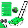 Turtle Portable Folding Flatbed Hand Truck and Cart