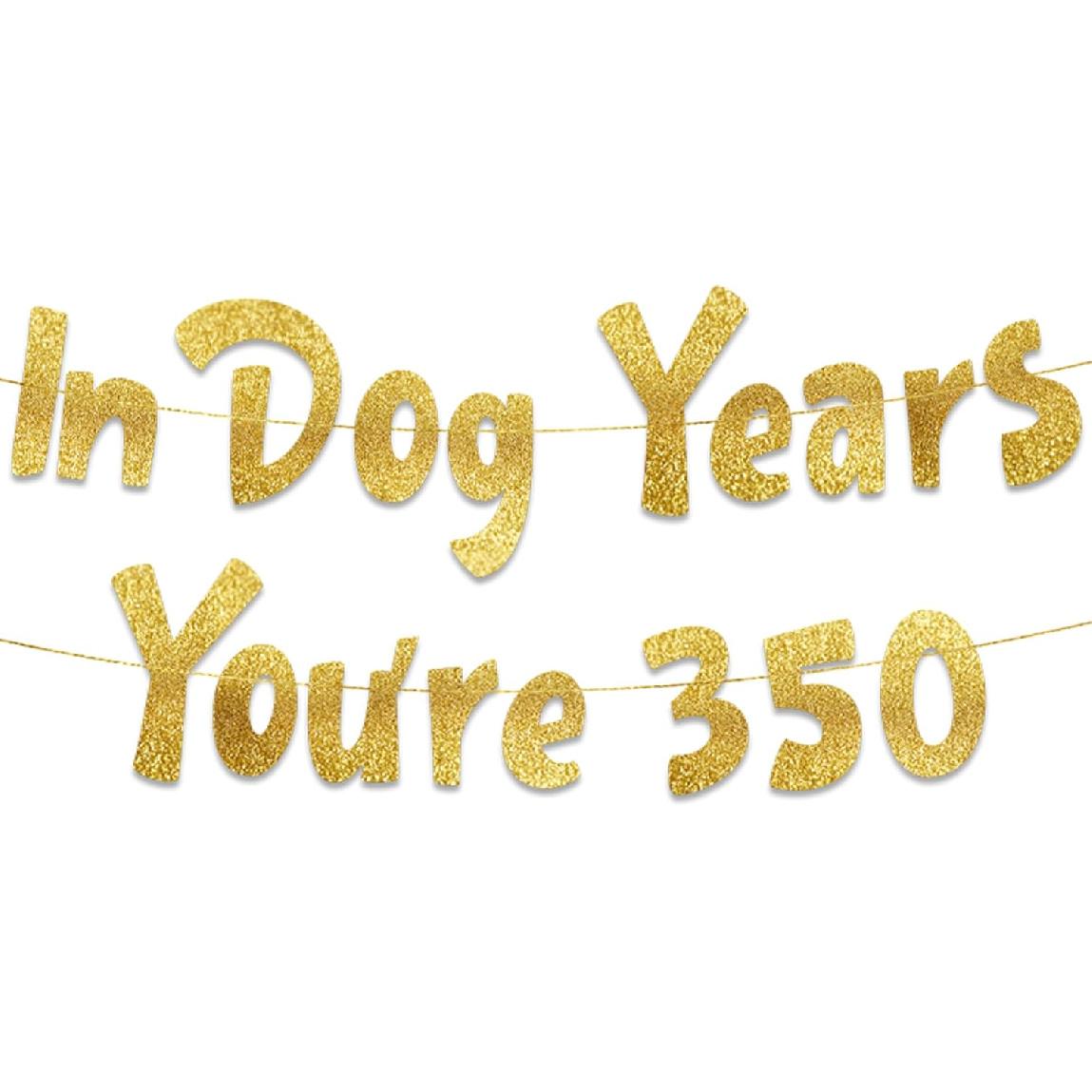 In Dog Years You re 350 Hilarious Adult Birthday Gold Glitter Banner - Funny Birthday Party Supplies, Ideas, Gifts and Decorations - 50th - 55th -
