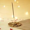 BEHOMA Incense Holder for Home Temple & Pooja Room | Agarbatti Stand | Handcrafted Ash Catcher |