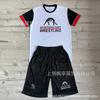 Mens Sporty MMA Training Set Short Sleeve T-Shirt Shorts Mesh Athletic Wear Lightweight Gym Workout Outfit