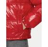 Пуховик Tommy Jeans DW0DW20210