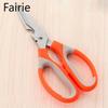 Household Stainless Steel Scissors Multi-purpose Kitchen Cut Barbecue Flowers Cut Seam Cut Bottle Opener Can Clip Walnut Chicken Bone Fairie