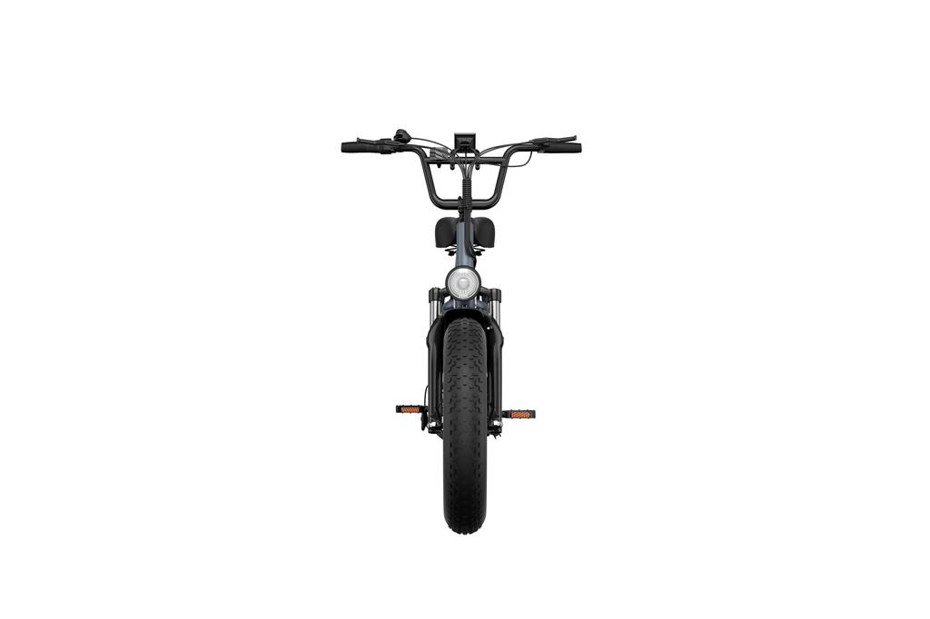 URLIFE E20 PRO Adult Electric Bike 1500W High-Power Motor 48V 15.6AH Battery 20*4.0 Inch Fat Tires for Off-Road & Urban Rides
