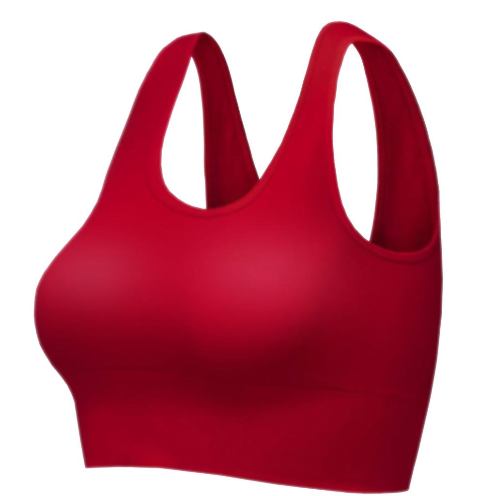 Women's Light Support Seamless Sport Bra Wireless Yoga Bralette Shaping Top