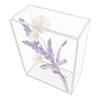 Modern Transparent Desktop Display Case Storage Box Artistic Design For Stationery Cosmetics Small Items Arrangement