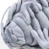 Deep Sea Creatures Series Giant Isopod Plush Extra 7317 Toy, Large, Gray,