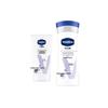 Hand Cream and Body Lotion Set