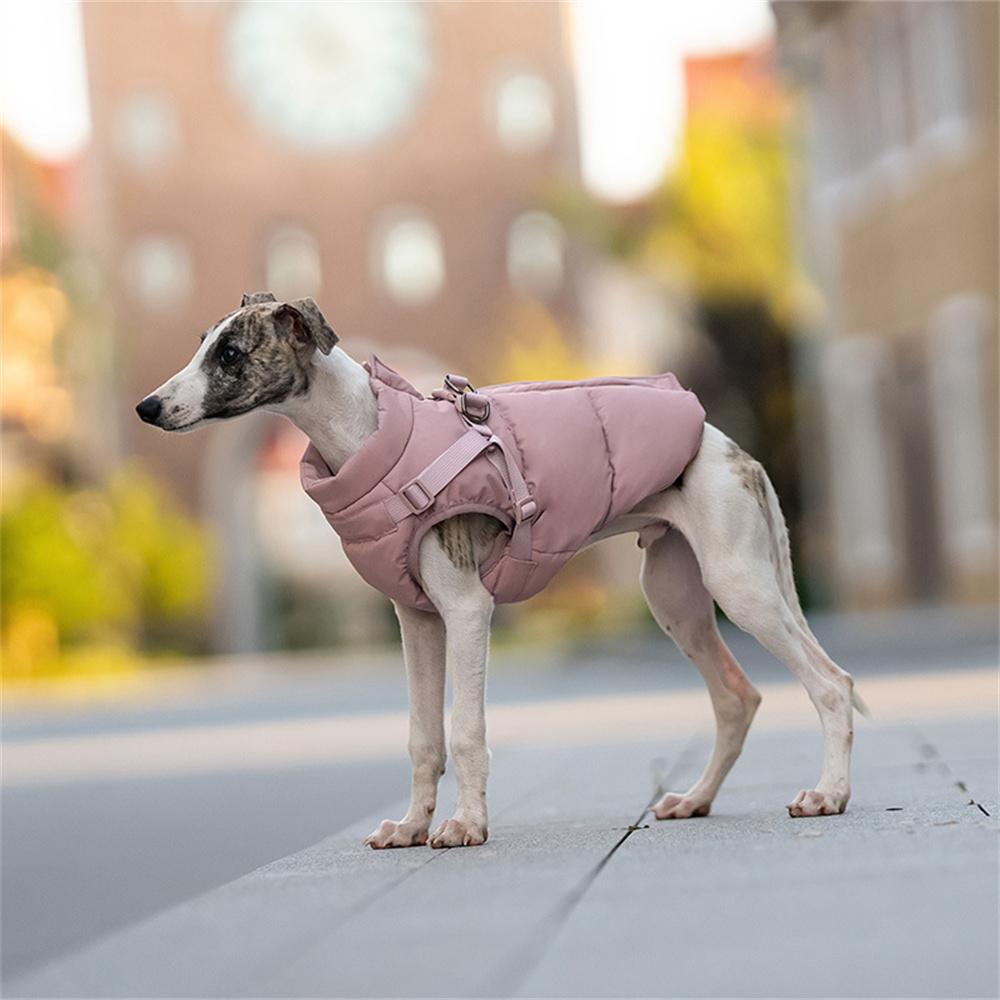 Mode Hundjacka för Små Medelstora Hundar Vinter Varm Husdjursrock med Sele Greyhound Beagle Schäferhund Jackor mascotas Kläder