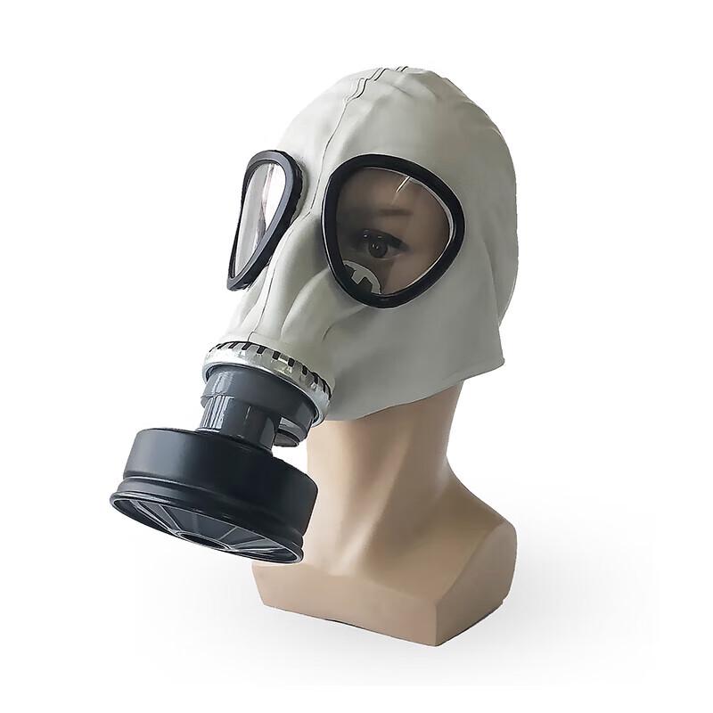 

Banggu Full-Face Gas Mask with Z-B-P2-2 Filters