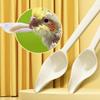 Alimentazione con -Design Anti-Goccia - Strumento di Alimentazione Manuale per Uccelli Piccoli