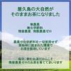 This Is Yakushima Oolong Tea We Created. Natural Cultivation 100g Cold Brew Pesticide-free No Chemical Fertilizers Zero Pesticide Residues.