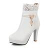 2024 Fashion High Heels Woman Booties Lace Design Princess Platform Party Wedding Womens Shoes White Black Ankle Boots Winter