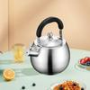 Elegant Stainless Steel Tea Kettle for Modern Homes