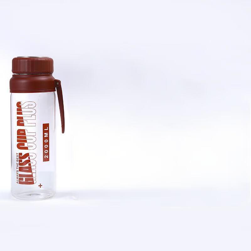 Portable Glass Water Bottle with Filter