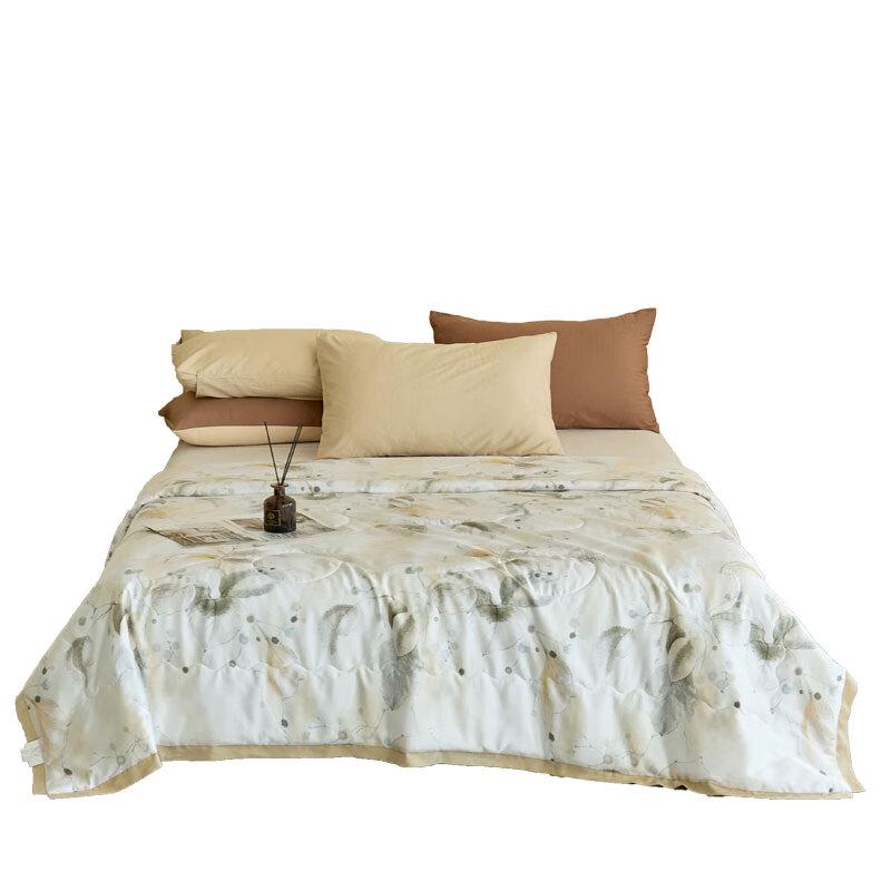 

Hengyuanxiang Dreamy Tencel Summer Quilt