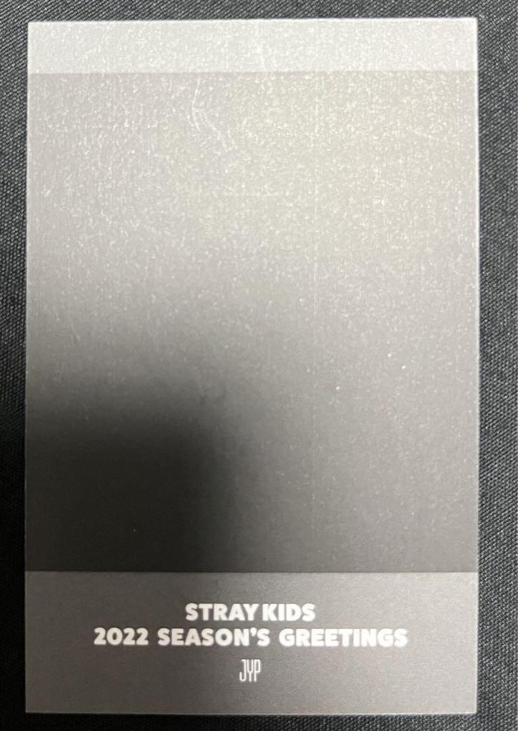 [USED] Felix the Evil Polaroid Trading Card, Seagreen 2022 Bear, Stray Kids