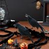Halloween Schwarze Krähen Gefiederte Krähen Halloween-Dekorationen Sehen schwarze Krähen Große Krähen Raben Realistisch I7S9