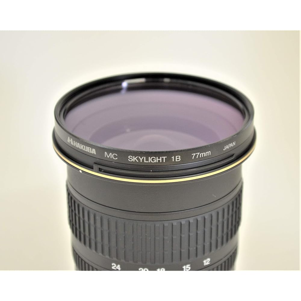 Nikon AF-S DX Zoom Nikkor 12-24mm f/4G IF-ED ultra-wide-angle zoom lens (for Nikon DX format only)