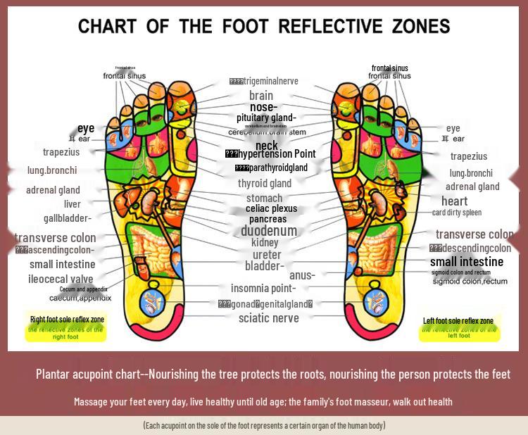 Penghang Acupressure Massage Slippers for Men & Women - Spiky Sole for Health & Comfort Use at Home