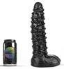 Graeme Dark Crystal Dildo 23 X 7cm - Dark Crystal - XL Dildos - Width + 6cm