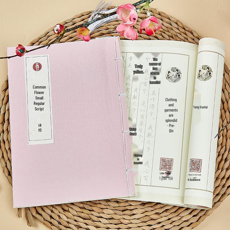 Liu Pin Tang Hard Pen Calligraphy Practice Copybooks