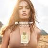 Burberry Goddess Fragrance Collection