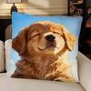 Watercolor Pet Dog Pillow Case Fashion Square Pillowcase Bedroom Sofa Room Ins Decoration Leisure