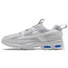 Reebok Dmx6 Mmxx Gray FW6652