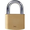Brass Padlock - - Y110B/60/132/1 - 60 Mm - Hardened Steel Shackle - 3 Keys - For Access Hatches, Chains, Ladders, Gates