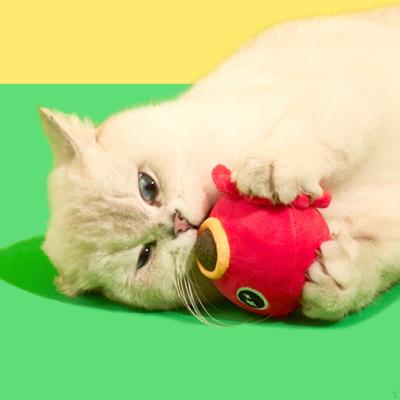 Catnip Ball Toy for Cats Chewing Toys Bite Resistant Playing Hairball Cleaning Grinding Kicking