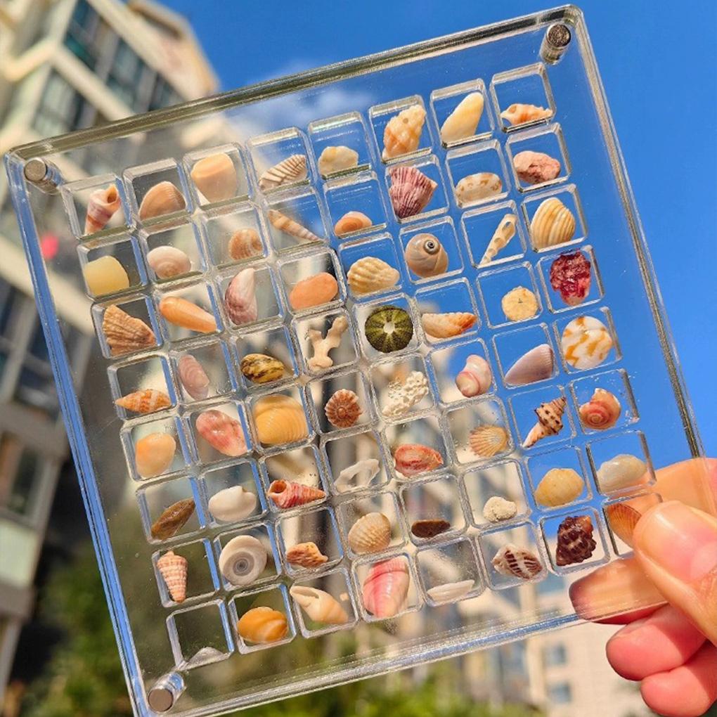 White Shell Display Box Style 1 Transparent 36 Grid Acrylic Box Jewelry Storage Bead Organizer Shell