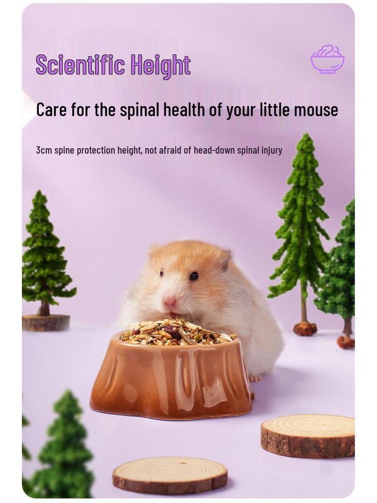 Ceramic Feeding Bowl for Hamsters, Chinchillas, and Guinea Pigs