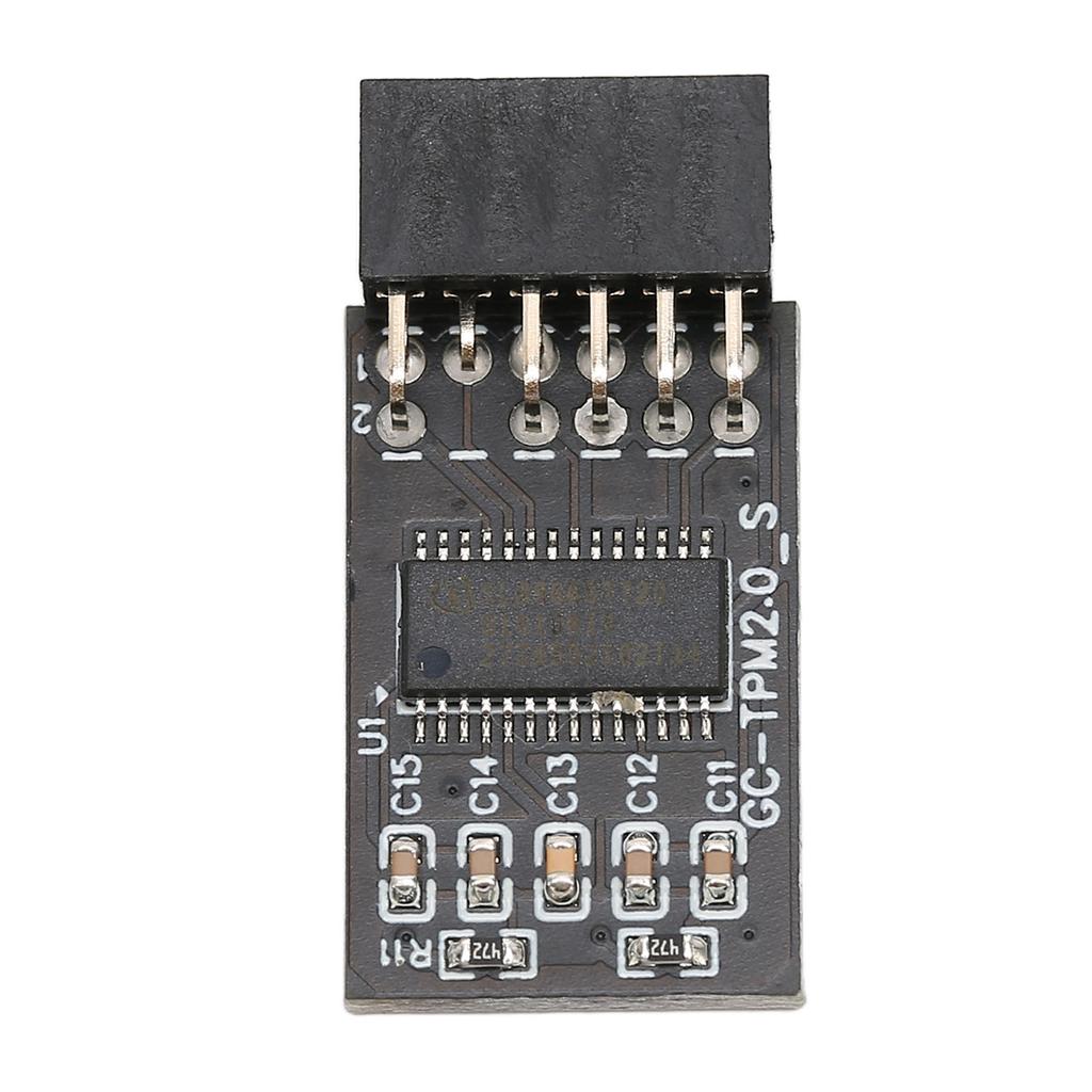 TPM 2.0 Encryption Security Module for 12Pin LPC Interface High Security Remote Card Encryption Security Module