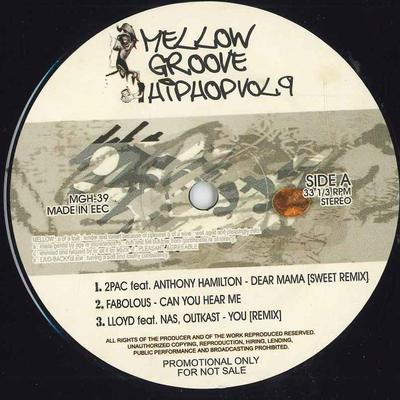 12 inch Plaat VARIOUS - Mellow Groove Hiphop Vol.9 MGH39 GEEN Onbekend Rap & Hip-Hop/R&B Gebruikt