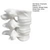 Spine Shape Pen Holder 3D Printing Ornaments Practical Desktop Storage Lumbar Spine Model Container for Orthopedic Students