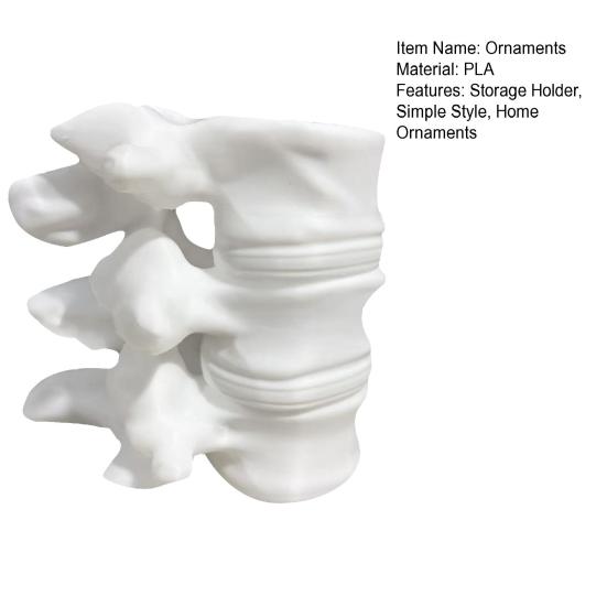 Spine Shape Pen Holder 3D Printing Ornaments Practical Desktop Storage Lumbar Spine Model Container for Orthopedic Students
