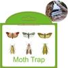 2/5/10 ks Lapače molů Spíž Oblečení Kuchyň Jídlo Domov Zahrada Hubení škůdců Lapače molů Feromon Molů Samolepka Lapač molů