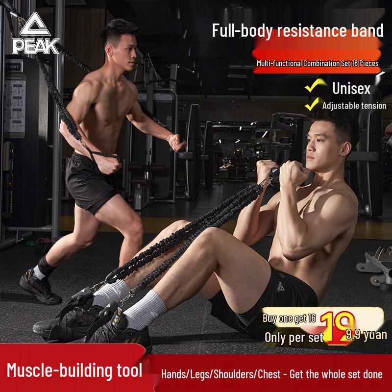 Peak Multi-Functional Resistance Band Set