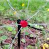 Garden Irrigation Set, Flower Pot Irrigation Tool, Outdoor Garden DIY Watering Device, Automatic Flower Watering Device, Drip Irrigation Set