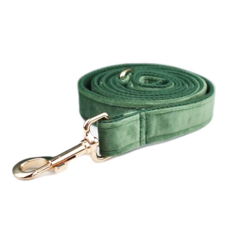 Forest Green Velvet Dog Collar & Leash with Alloy Buckle and Cotton Webbing XS