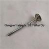 Compatible Exhaust Valve for Foton SPM40004173E3544